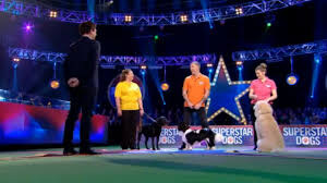 Superstar Dogs studio set